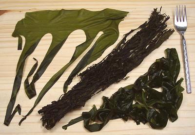 Dried, rehydrated & Salted Wakame