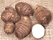 Taro Corms, whole and cut