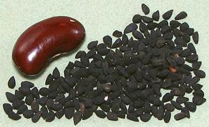 Tiny black Nigella seeds