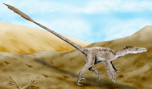 Painting of Velociraptor