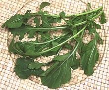 Arugula Leaves