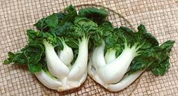 Two Short Bok Choy Heads