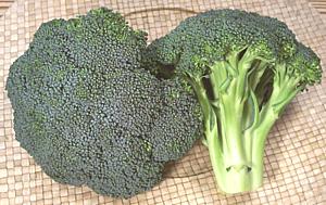 Whole Head of Calabrese Broccoli