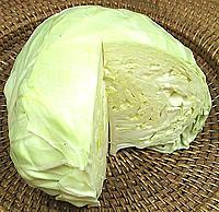 White Cabbage Head, cut
