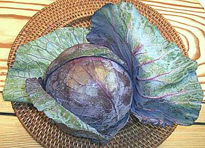 Whole Head of Red Cabbage with Outer Leaves