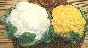 White and Orange heads of Cauliflower