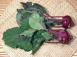 Red Kohlrabi Stems with Leaves