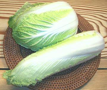 Wide and Narrow Napa Cabbage