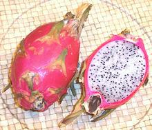 Whole and Cut Dragon Fruit