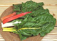 Chard Leaves on Stems