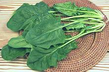 Spinach Stems with Leaves