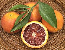 Whole and Cut Blood Oranges