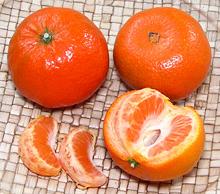 Whole and Partially Peeled Clementines