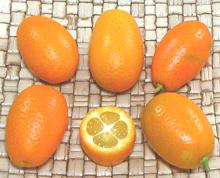 Whole and Cut Kumquats
