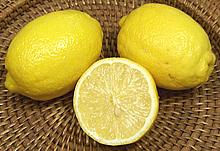 Whole and cut Eurika Lemons