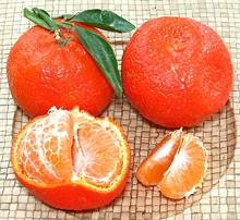 Whole and Partially Peeled Royal Mandarins