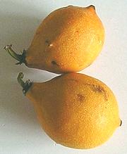 Whole Fresh Bacupari Fruit