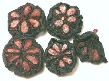 Split and Dried Kokum Fruit