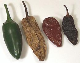Chipotle Chili Forms