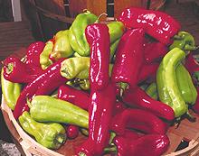 Fresh green and red Cubanelle chilis