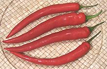 Holland Red Chilis