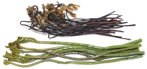 Dried and Boiled Ferns