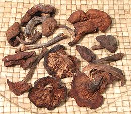 Dried Hazelnut Mushrooms