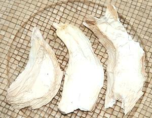 Slices of Dried King Trumpet Oyster Mushrooms