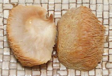 Cut Soaked Lion's Head Mushroom