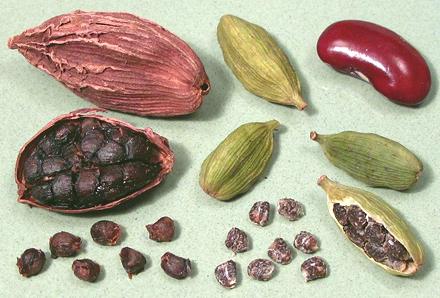 Cardamom Seeds and Pods