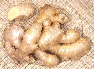 Rhizomes of Mature ginger
