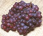 Bunch of Red Champaign Grapes