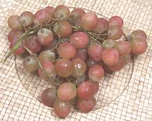 Bunch of Red Globe Grapes