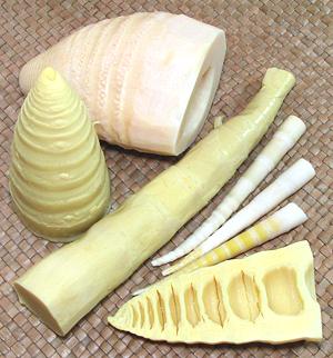 A mix of Bamboo Shoots