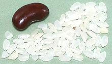 White Egyprian Rice Grains