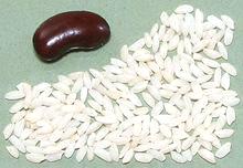 Kalijira White Rice Grains