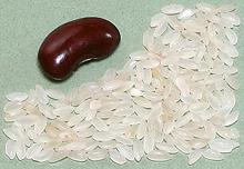 Keeri Samba White Rice Grains
