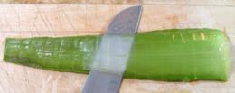 Aloe Leaf, sliced