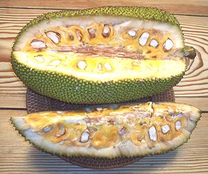 Cut Jackfruit