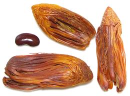 Rampatri Seed Wrappers
