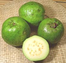 Guava Fruit, whole, cut