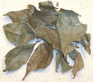Dried Daun Salam Leaves