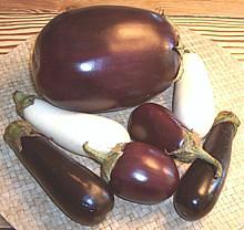 Assorted Eggplants