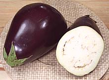 Globe Eggplants
