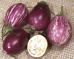 Indian Eggplants