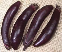 Japanese Eggplants