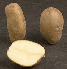 Golden Wonder Potatoes