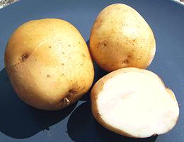 Kennebec Potatoes, whole and cut
