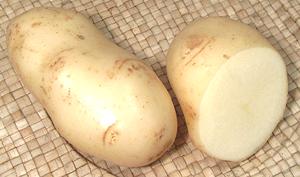 White rose, Long White Potatoes, whole and cut