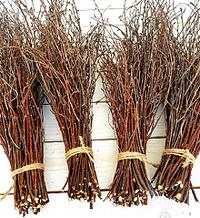 Bundles of Birch Twigs